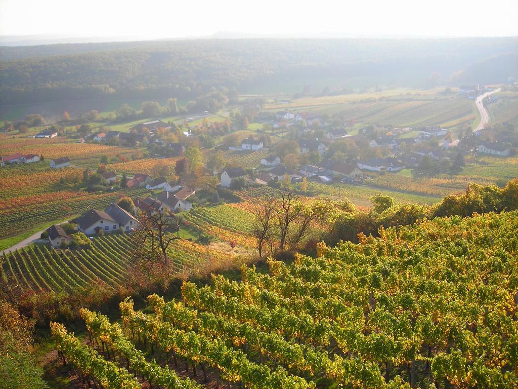 Kellerstoeckl Kamper Vila Eisenberg an der Pinka Exterior foto