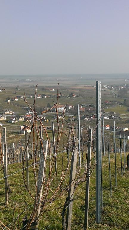 Kellerstoeckl Kamper Vila Eisenberg an der Pinka Exterior foto