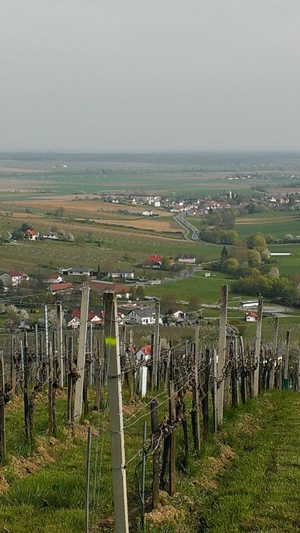 Kellerstoeckl Kamper Vila Eisenberg an der Pinka Exterior foto