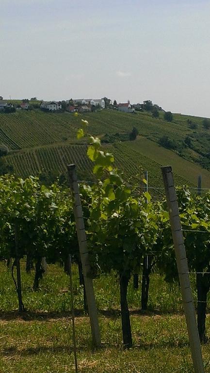 Kellerstoeckl Kamper Vila Eisenberg an der Pinka Exterior foto
